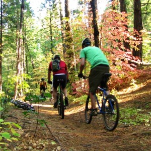 Biking - Courtesy of Arnold Rim Trail
